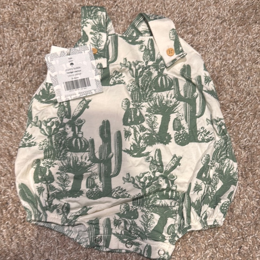 Kate Quinn - country bubble - hedge cactus - 3-6mo
